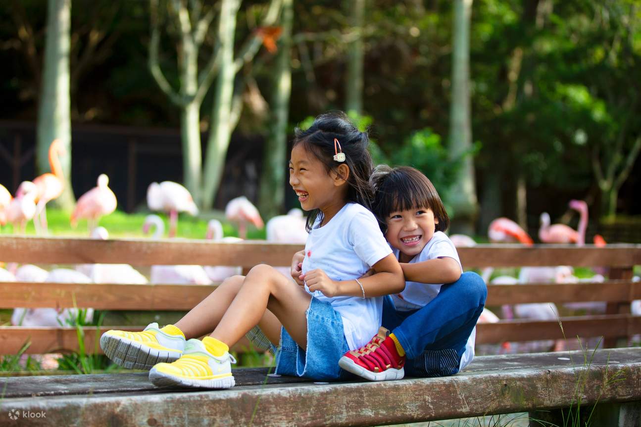 ฟุกุโอกะ | ประสบการณ์ถ่ายภาพมืออาชีพสำหรับคู่รัก ครอบครัว พ่อแม่ลูก และทริปท่องเที่ยว | บริการภาษาจีน/กวางตุ้ง/อังกฤษ